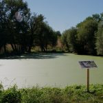 Géocaching à l'Ecomusée, site de Juillé