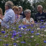 Les insectes et l'occupation du milieu