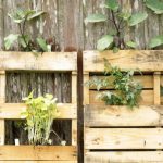 Mercredi en famille - Atelier « Jardin et palette » - ANNULE