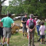 Balade sur les chemins de Juillé