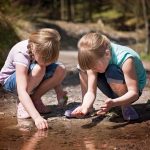 « Conséquences du changement climatique sur les milieux aquatiques »REPORTÉE À UNE DATE ULTÉRIEURE