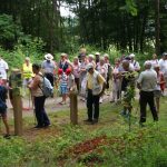 Balade sur les chemins de Juillé