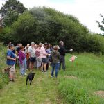 Circuit nature à  l'Ecomusée "Insectes de la haie"  à Juillé