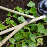 Animation enfant (6/14ans) : Apprenti calligraphie nature