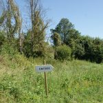 La haie et ses fonctions...