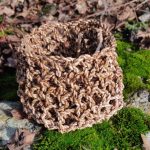 Stage d'une journée à l’Écomusée en vannerie sauvage "Habiller un pot en cordelettes végétales tressées"