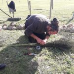 Stage d'une journée à l'Ecomusée autour de la brande - Fabrication "de balais et balayettes"