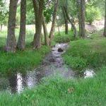 Découverte de la biodiversité à La Chapelle-Viviers