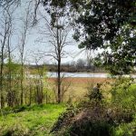 L'eau et les espaces naturels du Léché, circuit commenté