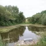 Visite commentée du petit étang de Juillé