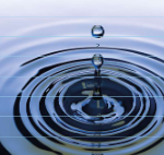 Visite thématique de l'Écomusée au Lycée Agricole de Montmorillon sur l'eau dans tous ses états