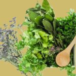 Atelier "Cuisiner les plantes sauvages"