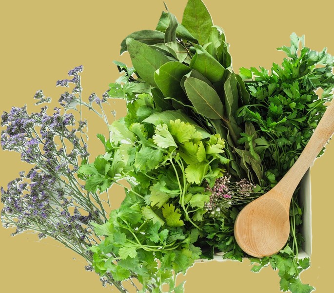 Atelier "Cuisiner les plantes sauvages"