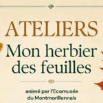 Atelier "Mon herbier des feuilles"