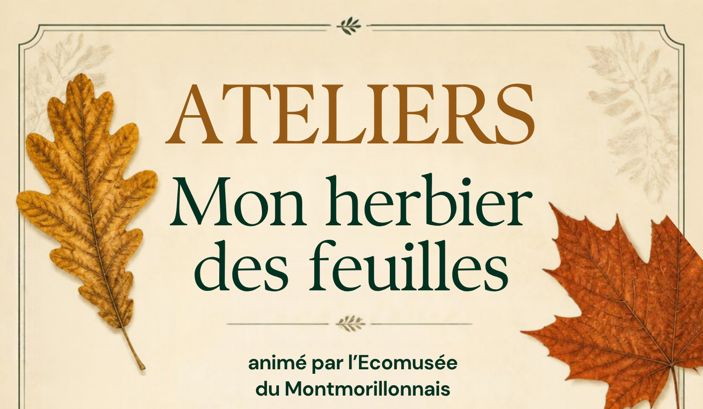 Atelier "Mon herbier des feuilles"